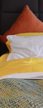 9ded05f2599cff7d9758d5e8add3cb37c7947a66677cf5c5f40843676aa2af28cb007aae4e4fd455ae1f2e6ddf2a981b07cbaadbcf39b58d4049dc_1280-2 (1)